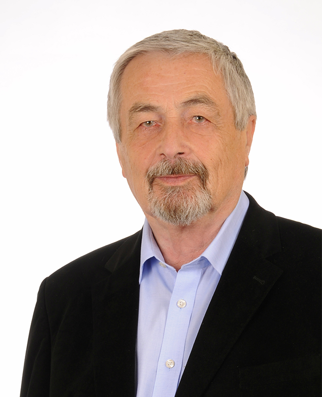 Prof. Dr. Elmar Brähler